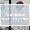 アネモネで眉毛アートメイク体験アイキャッチ